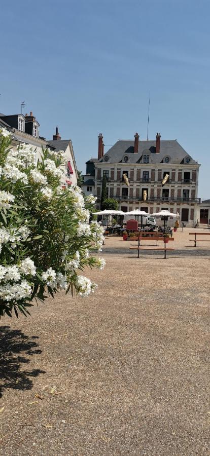 Le Logis De La Rue Des Arts Appartement *
